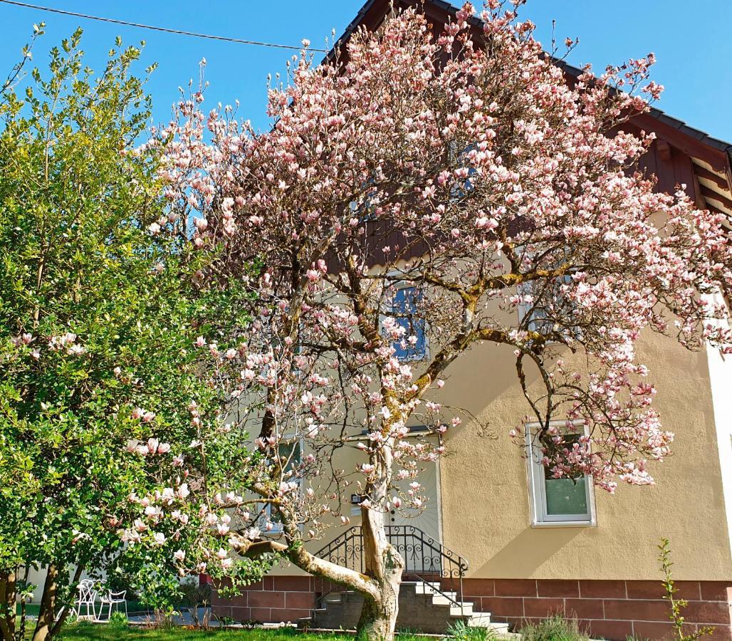 Liebevoll Gästewohnungen Alpirsbach Exterior foto